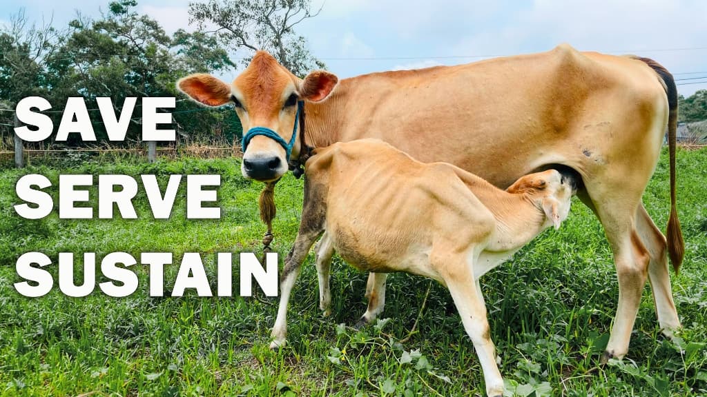 Bharat GauSewa - Save, Serve, Sustain