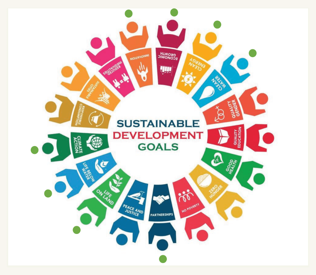 UN Sustainable Development Goals